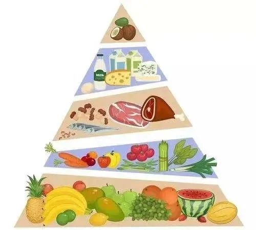 联邦营养援助计划参与时长与人口健康特征对儿童饮食质量及体重状