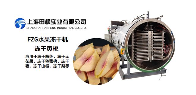 水果冻干机保留水果天然的营养与外形(图2)