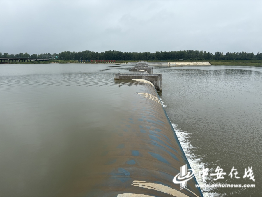牢记嘱托 感恩奋进——安徽往前赶｜皖豫合作破壁垒 “一河两岸”惠民生(图4)