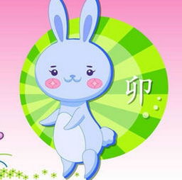 今日运势：生肖兔87年今日运势（87年属兔的财运）