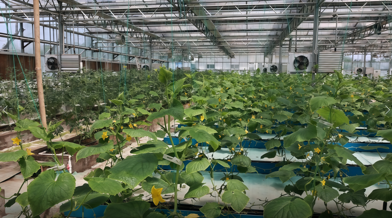 夯实大国粮仓的“营养”基石——解码磷复肥行业龙头新洋丰的硬核研创之道(图4)