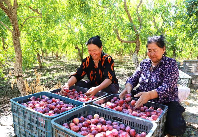 大美新疆 气象万千(图5)