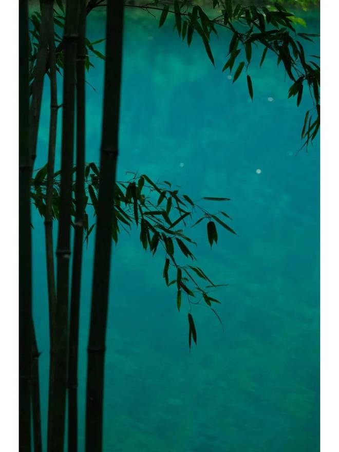 贵州旅游规划！贵州五天四晚游看完路线简单易懂实用攻略值得收藏(图3)