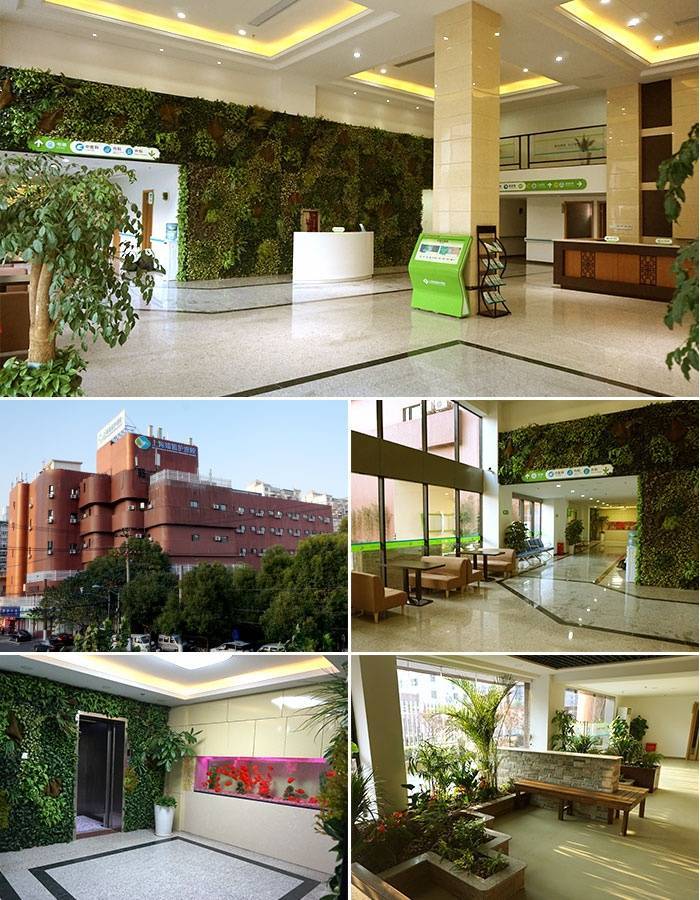 2025上海杨浦区自理与半失能群体护理院精选推荐医保报销便利营养配餐科学预约参观指南(图2)