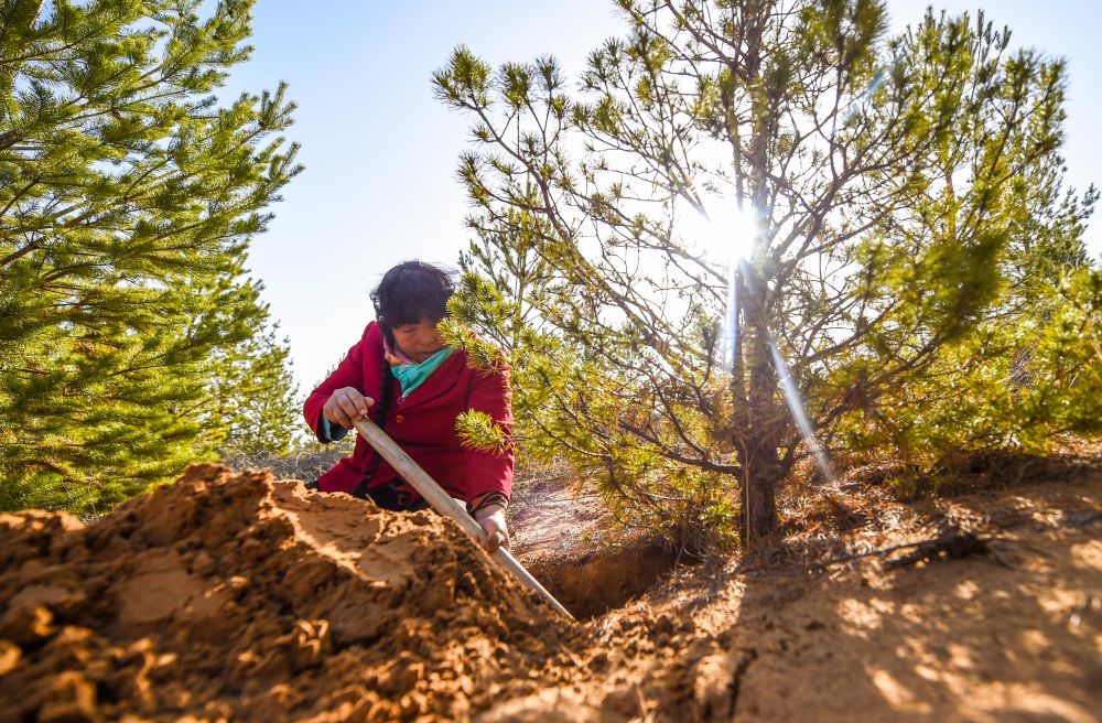 镜观·回响｜巾帼共绘新时代(图24)