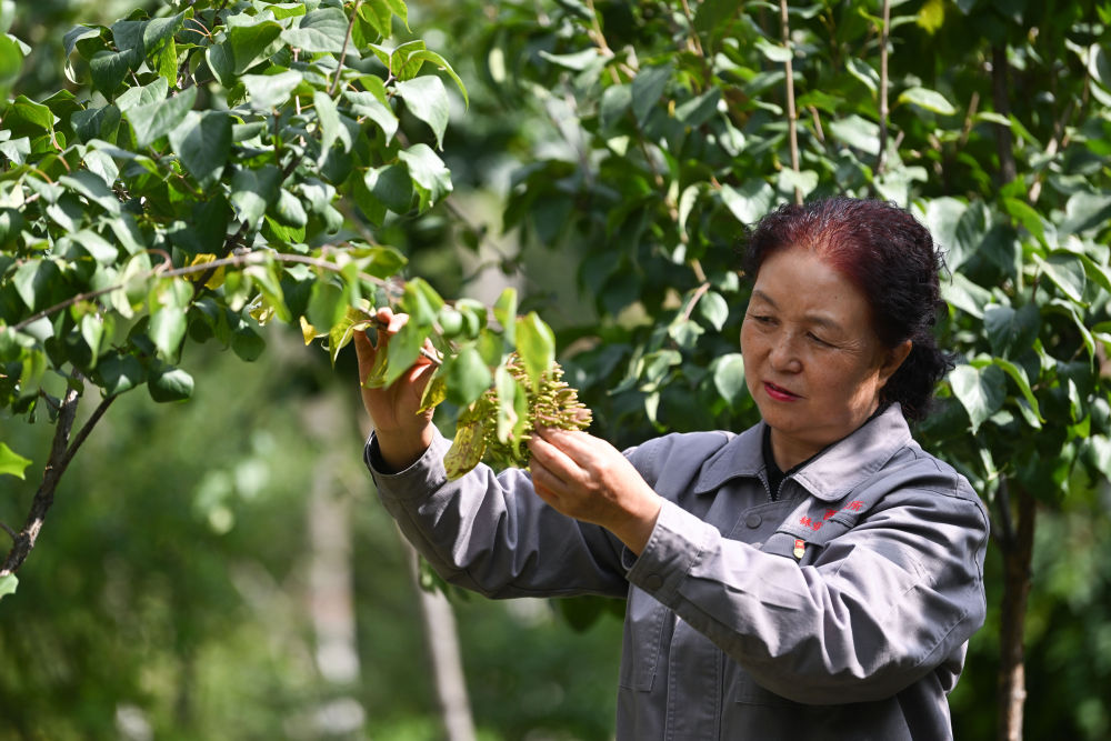 镜观·回响｜巾帼共绘新时代(图25)