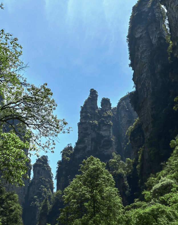 张家界旅游最佳游玩攻略：张家界五日游最佳路线规划旅游(图2)