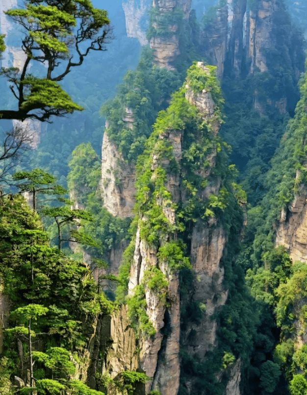 张家界旅游必看攻略：张家界五日游最佳路线规划+旅游路线(图2)