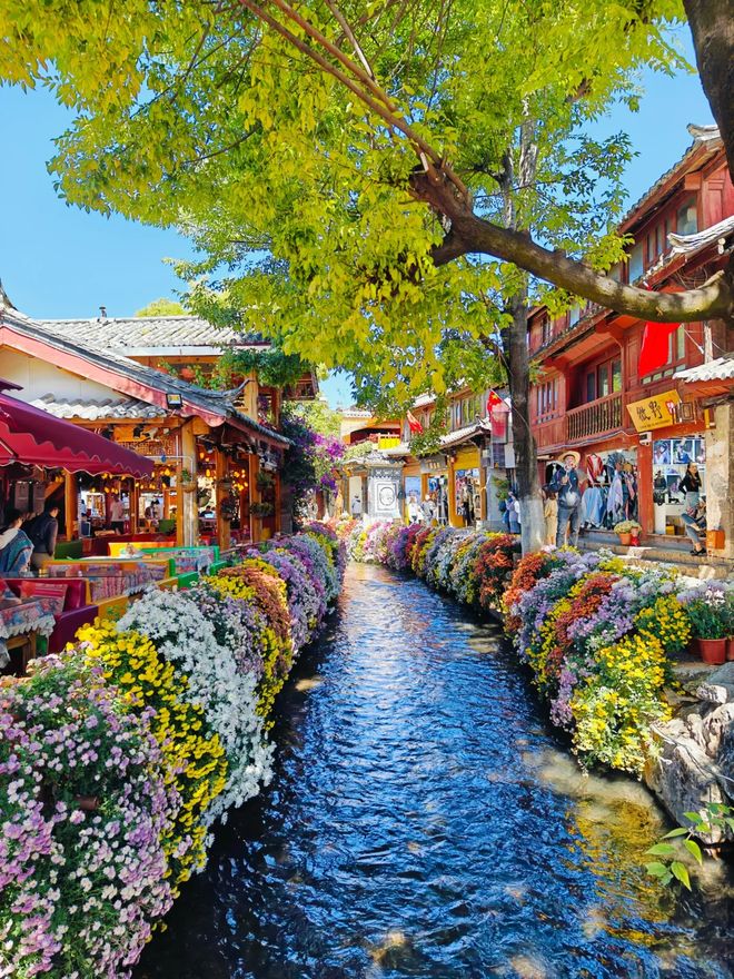 云南六日家庭游贴心安排本地向导规划轻松路线花费明细(图3)