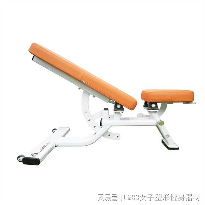 卧推凳练背女子塑形注意事项(图2)