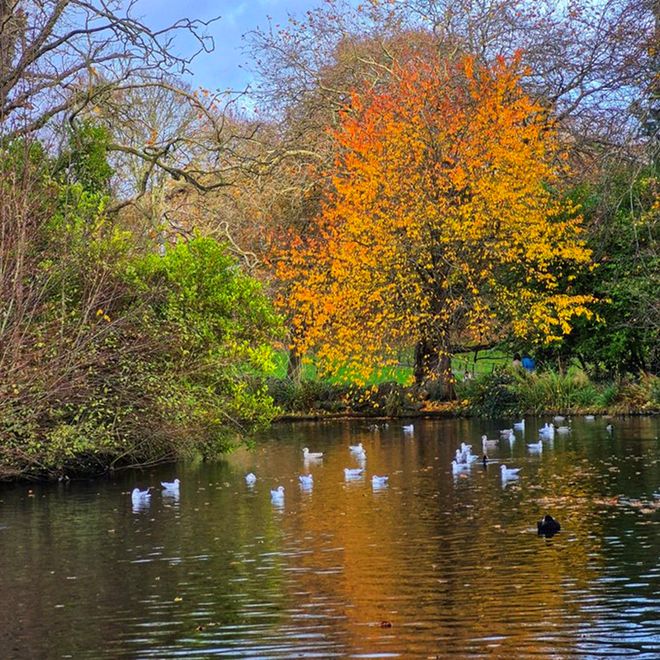 使用ChatGPT等AI工具获取健康指导已成为一种趋势(图2)