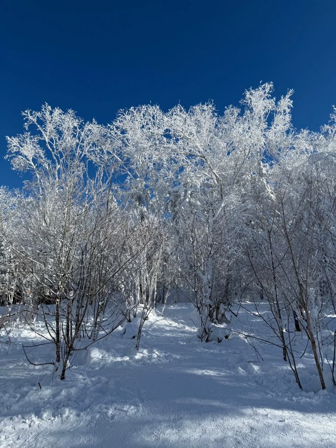 雪乡冬季童话之旅：五天完美行程规划(图2)