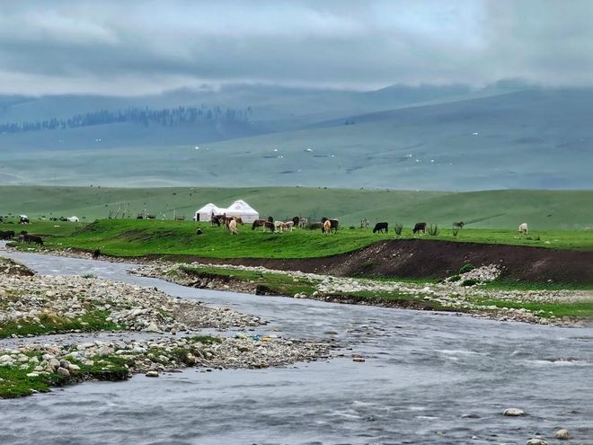 去新疆八天七晚纯玩团人均1680元北疆金秋深度游超详细行程规划(图3)