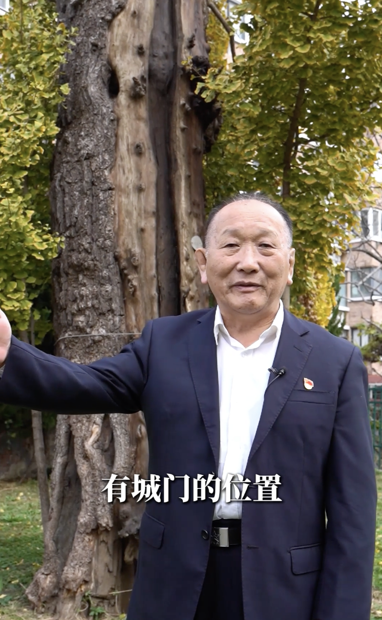 “听老王讲党课”：从六百年古树中的城市记忆(图4)