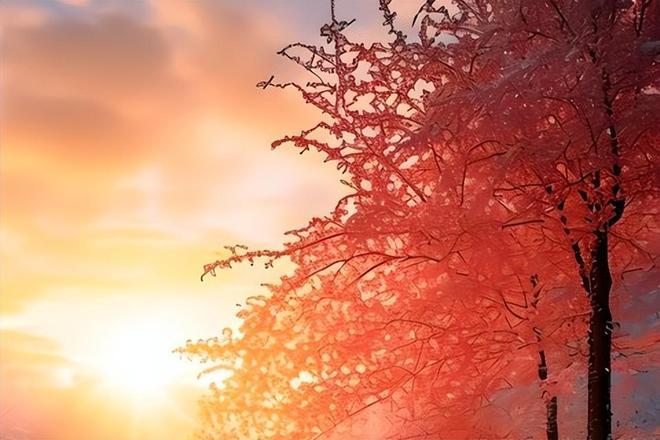 雪乡两天一夜亲子趣：温馨规划不赶路孩子欢笑大人放松(图4)