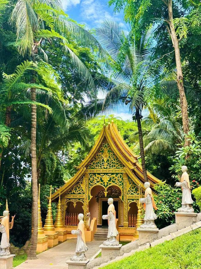 云南八日经济游：在地向导规划用有限预算收获满满回忆(图3)