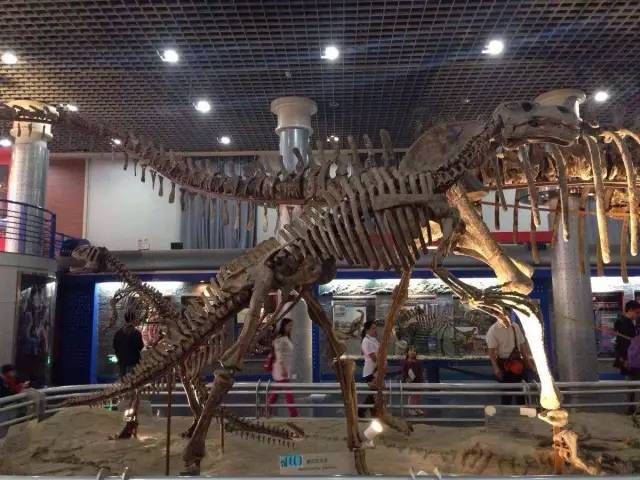 北京研学旅行私人定制4日游：小众路线+文化体验预算规划攻略(图2)