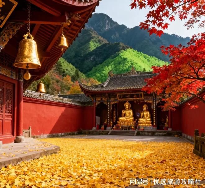 想带孩子去四川7日怎么规划？四川7天6晚趣味研学之旅攻略