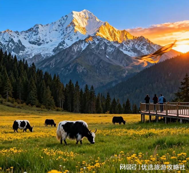 想带孩子去四川7日怎么规划？四川7天6晚趣味研学之旅攻略(图4)