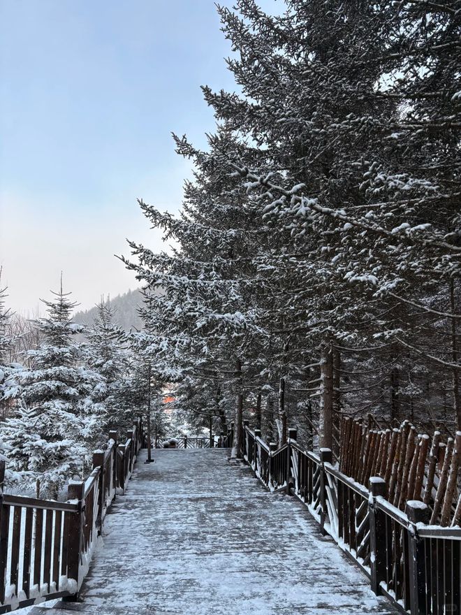 梦幻雪乡深度游：五日行程规划+地道美食推荐