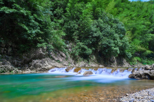 退休旅游新方式：领头雁旅行社“走亲式”旅游把山水变成家的延伸