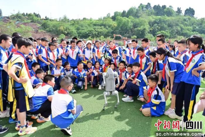 简阳这五年：优质教育惠万家