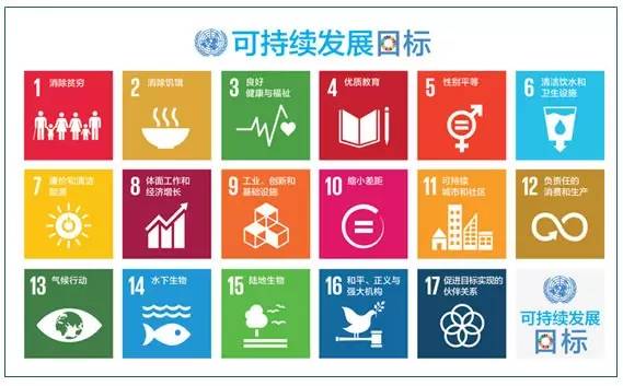 石楠：国际语境下的城市规划(图6)