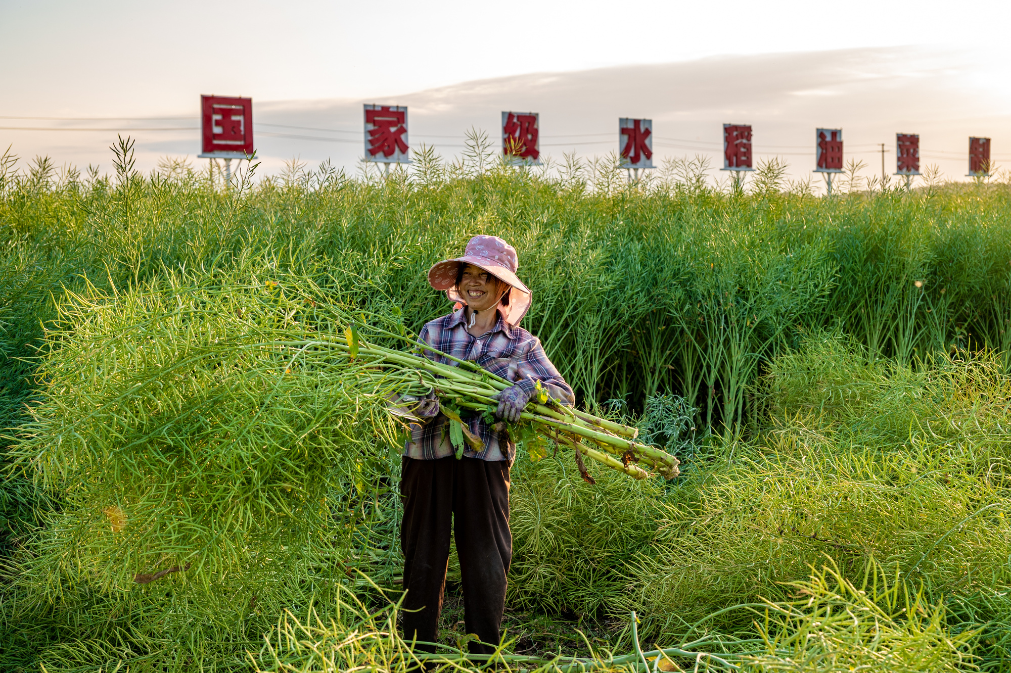 行稳致远开新局丨打造西部重要增长极“川”潮何以澎湃？(图3)