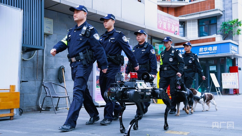 行稳致远开新局丨打造西部重要增长极“川”潮何以澎湃？(图6)