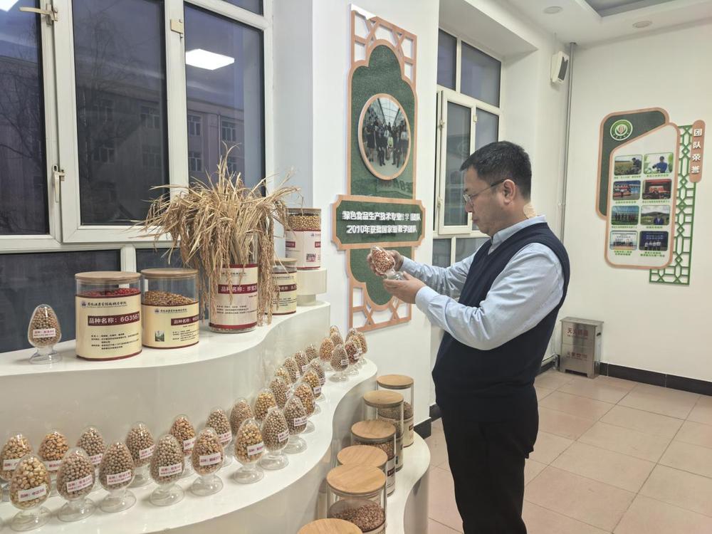 黑龙江：以奋进之笔书写坚实的教育答卷(图4)