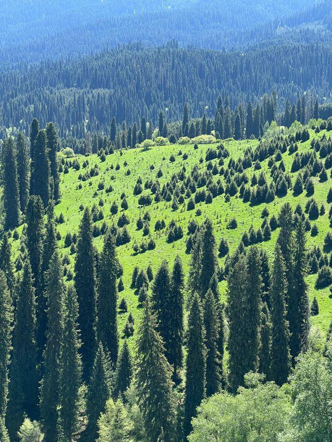 云南六天旅游预算怎么做？本地向导教你合理规划每一笔钱(图2)