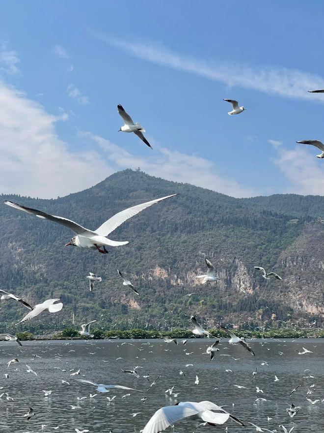 情侣云南八日游跟团预算大公开！附甜蜜路线规划与真实开销清单(图2)