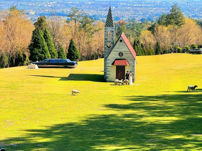 云南旅游跟团六日游纯玩报团攻略亲子游6天5晚行程路线规划！(图4)