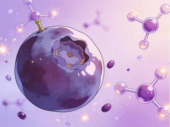 行业风向标引领营养新趋势 2026抗衰赛道顶流(图5)