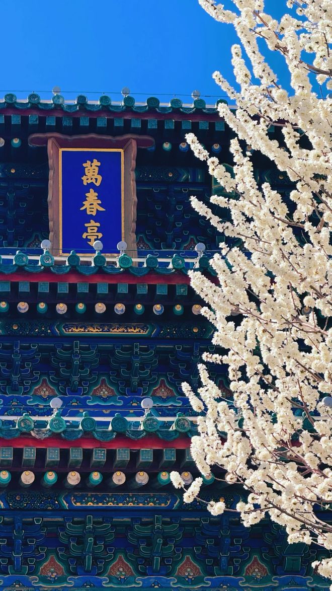 北京导游报团服务5天4晚详细价格家庭结伴五日游旅游规划全攻略