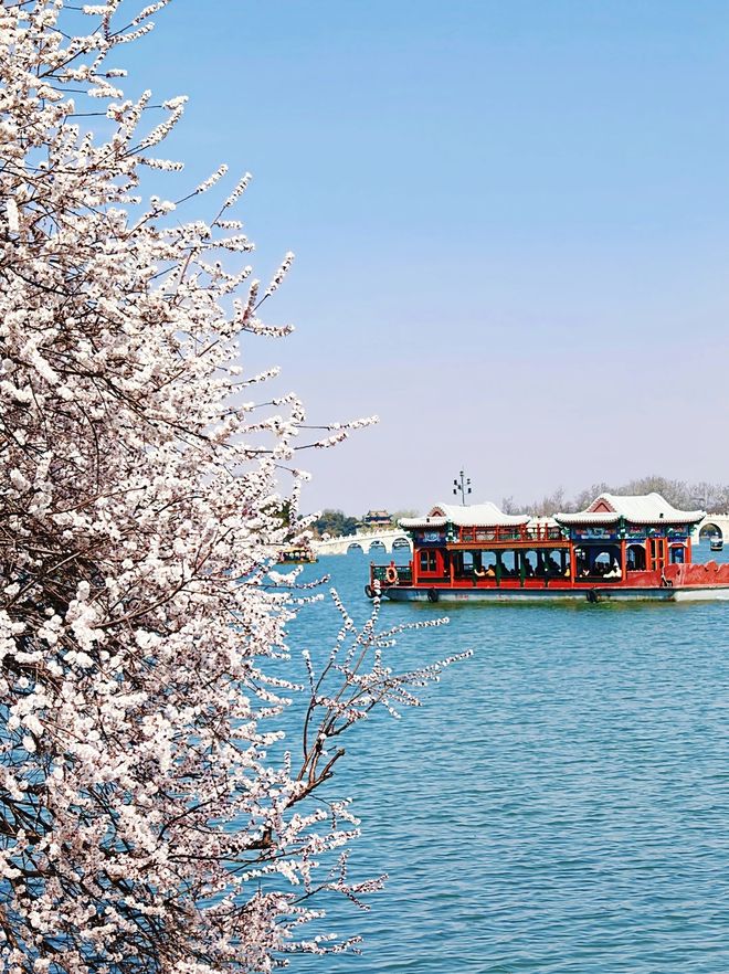 北京导游报团服务5天4晚详细价格家庭结伴五日游旅游规划全攻略(图4)