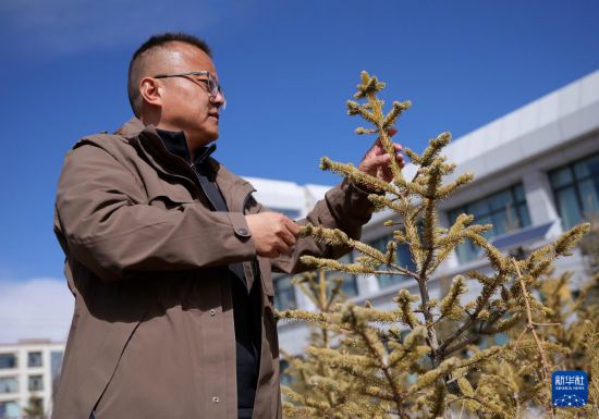 西藏那曲：用科技唤醒“高原绿”