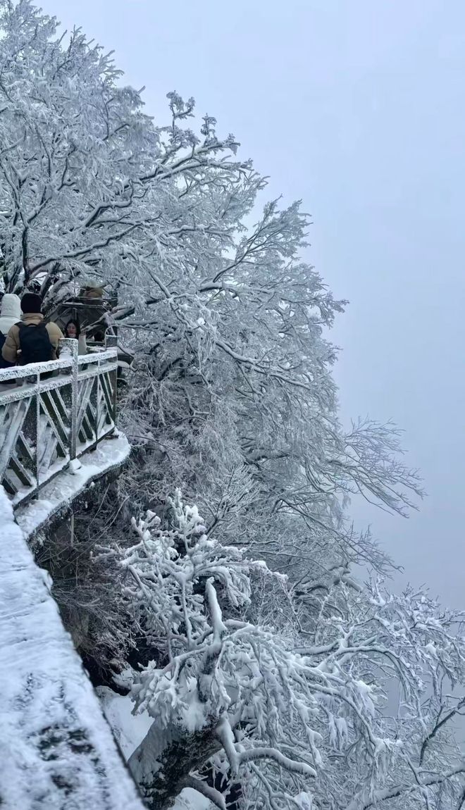 张家界旅游区地图：跟团路线规划与景点分布