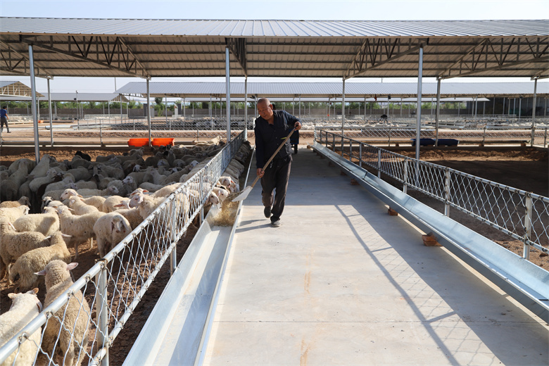 从“种口粮”到“种健康”平谷区发布《农业中关村全谷物行动实施方案