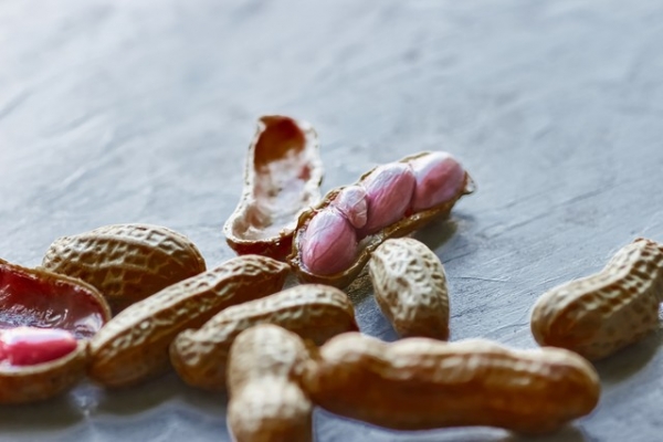 小小一颗花生对糖尿病人健康是营养佳品还是血糖杀手？(图2)