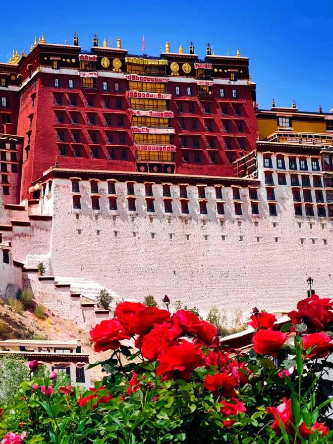 西藏家庭7日游规划：带爸妈玩西藏跟团费用+行程攻略(图3)