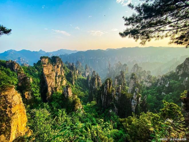 张家界五天怎么玩攻略？注意事项+避坑本地导游规划人均费用