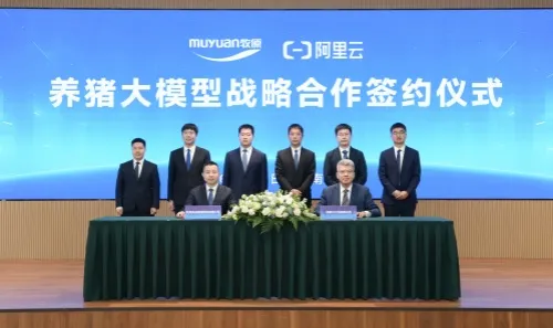 牧原与阿里云达成AI战略合作联合打造AI助手将猪群健康检测提效超百倍