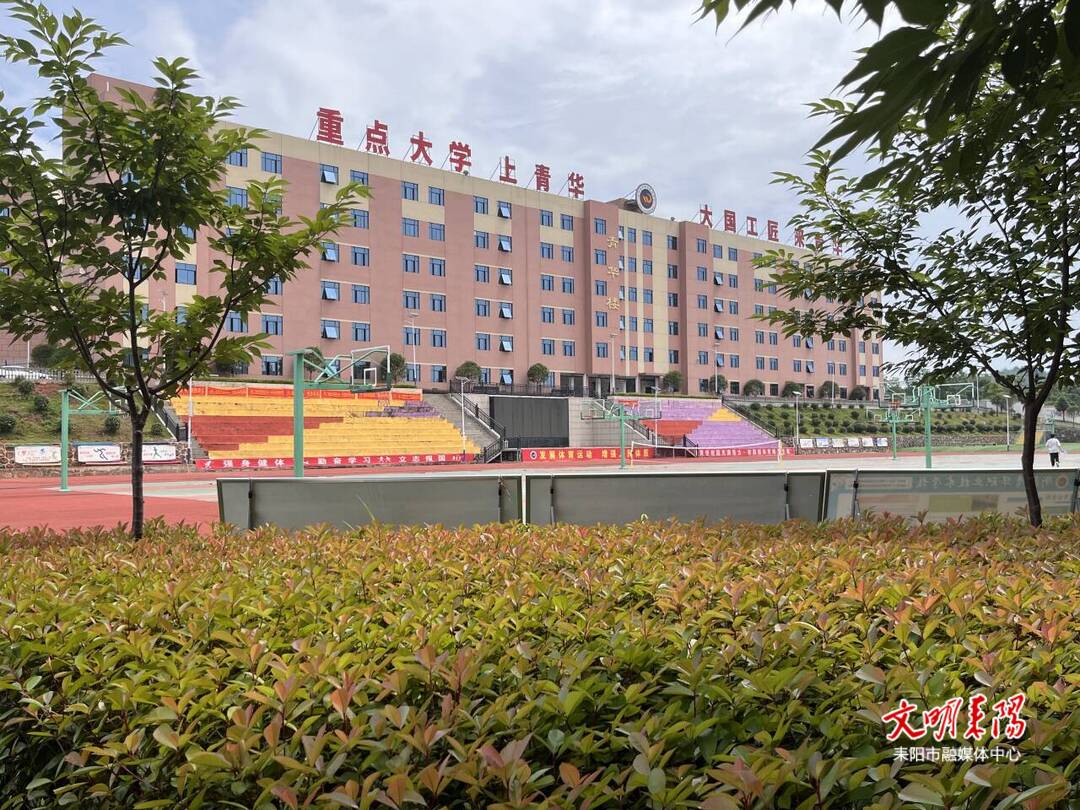 从金华再出发：贝因美的三重跨越与国民品牌的新叙事
