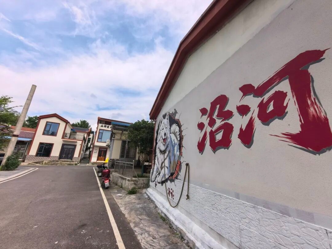 躺在星空下品一杯稻田咖啡黄陂沿河村凭这份闲适感火出圈